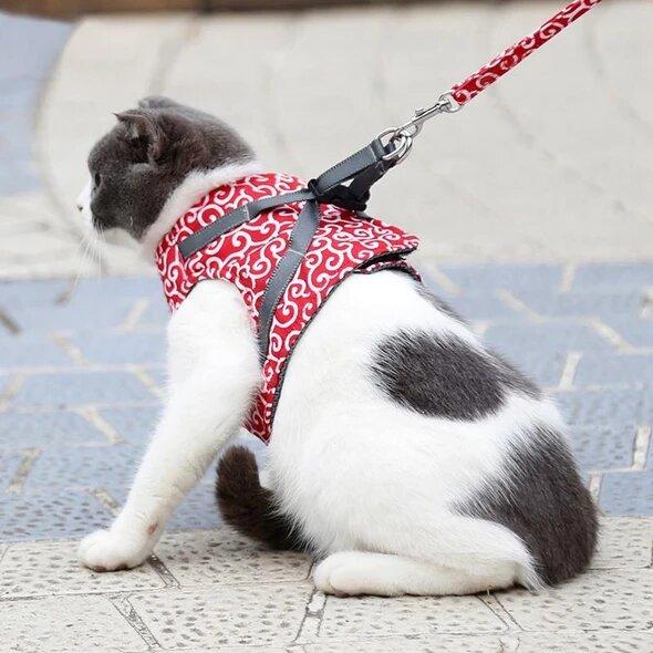 đ„Superdeal! 38% Rabatt! â Sele & Koppel i Ett â Anti-RymningsvĂ€st för Katt & Hund, BekvĂ€m & Justerbar Passform