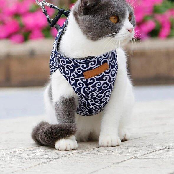 đ„Superdeal! 38% Rabatt! â Sele & Koppel i Ett â Anti-RymningsvĂ€st för Katt & Hund, BekvĂ€m & Justerbar Passform
