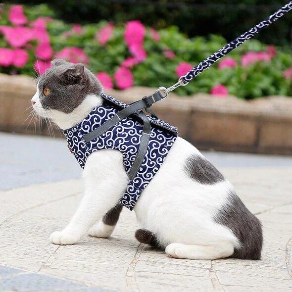đ„Superdeal! 38% Rabatt! â Sele & Koppel i Ett â Anti-RymningsvĂ€st för Katt & Hund, BekvĂ€m & Justerbar Passform