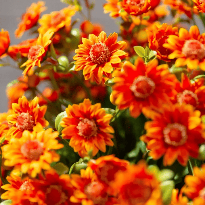 💥Sista dagen! Endast 26 SEK styck – Konstgjorda utomhusblommor "Sunset Mums" – UV-beständiga, vattentäta och vindresistenta