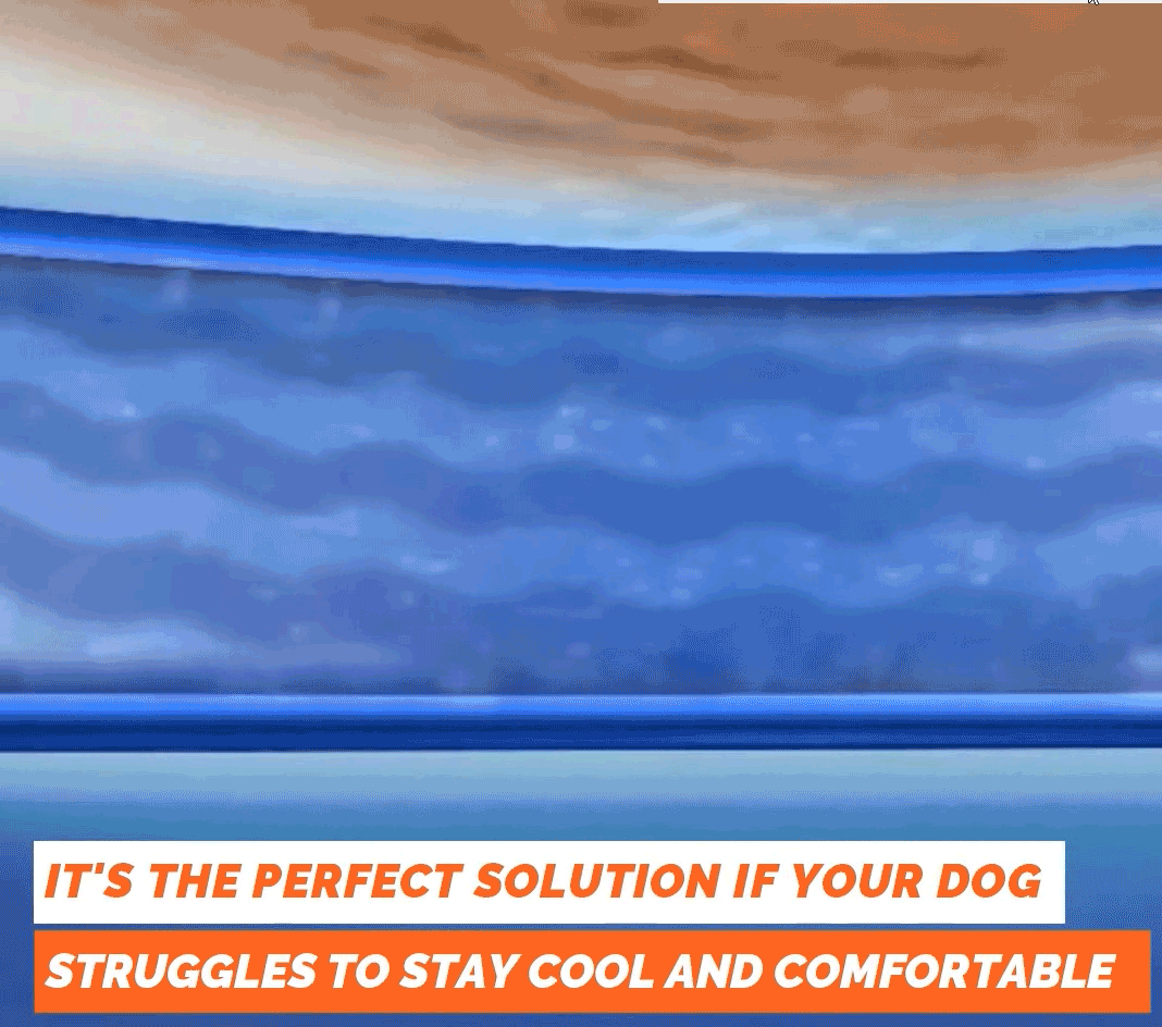 💥 Veckans Erbjudande – 39% Rabatt! 🧊 Hundens Kylande Matta (4x effektivare!)