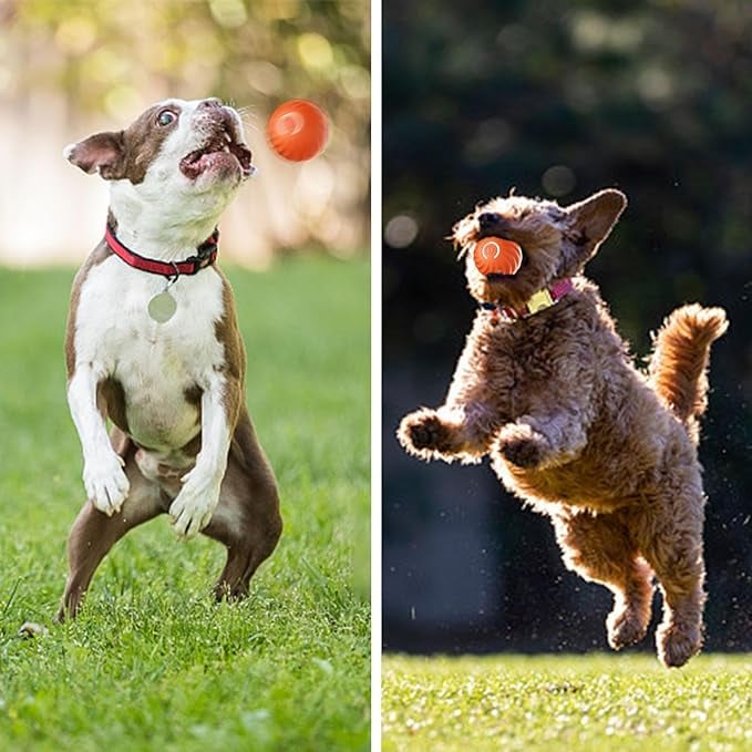 🔥Superdeal! 36% Rabatt! – Automatisk Smart Lekboll – Oemotståndlig & Tuggsäker Underhållning för Din Hund