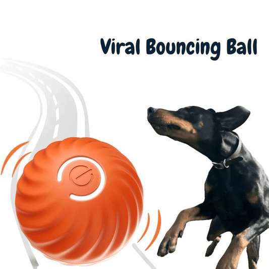 🔥Superdeal! 36% Rabatt! – Automatisk Smart Lekboll – Oemotståndlig & Tuggsäker Underhållning för Din Hund