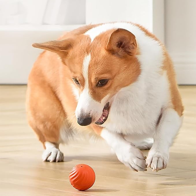 🔥Superdeal! 36% Rabatt! – Automatisk Smart Lekboll – Oemotståndlig & Tuggsäker Underhållning för Din Hund
